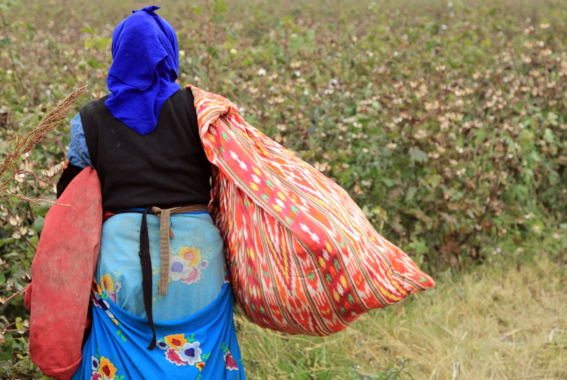“Voluntary” obligation: teachers and students in Tajikistan continue to be sent to cotton fields