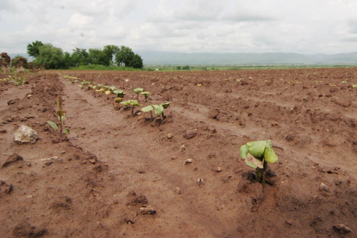 Tajikistan approves new land development program for 2026-2030
