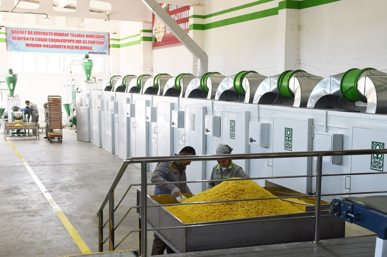 Tajikistan sees strong growth in food production as five-year industry program nears completion