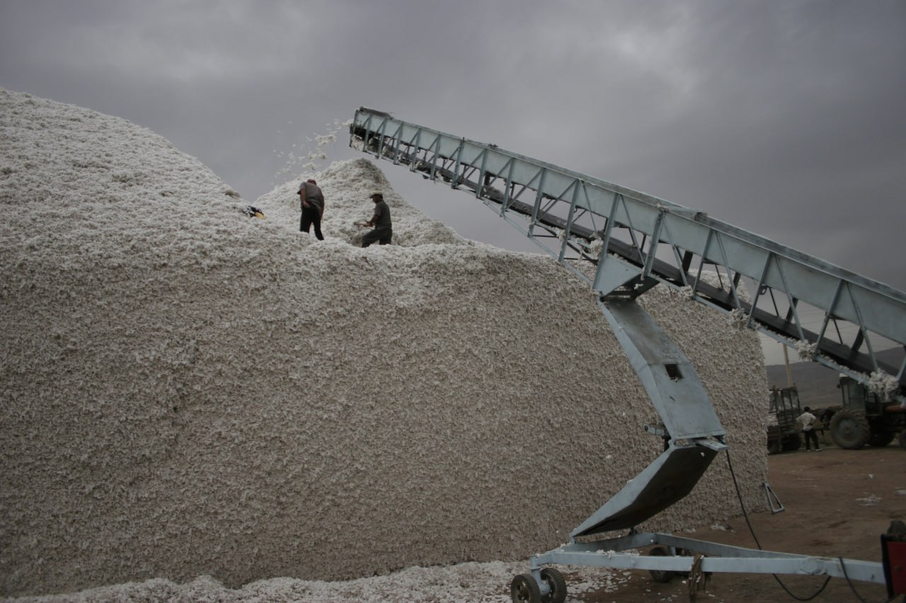 Tajikistan and Russia to launch $150 million cotton industry cluster