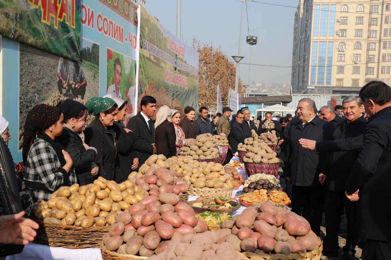 More potatoes, lower prices: potato growers' forum held in Dushanbe