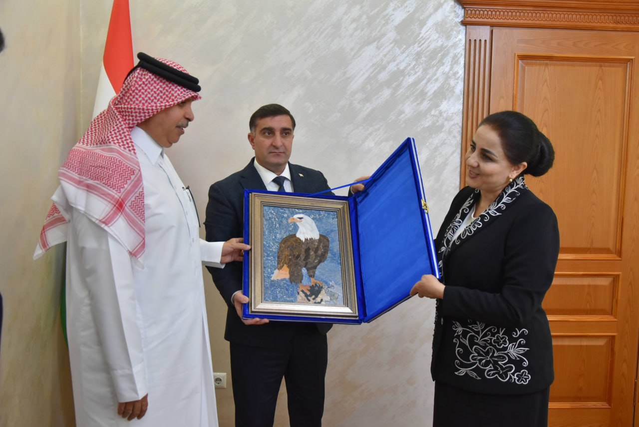 Tajikistan and Qatar expand cooperation in employment sector