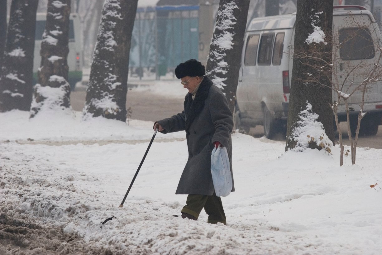 Tajikistan advances in implementing social entrepreneurship law