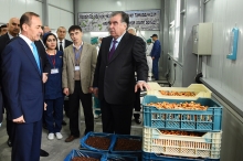 Президент открыл в Исфаре фабрику по производству сухофруктов