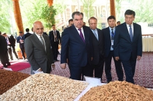 Сайругашти Эмомалӣ Раҳмон бо меҳмонон дар бӯстонсарои Пуғус