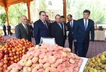 Персики, инжир, кульча: чем угощал таджикский президент своих гостей
