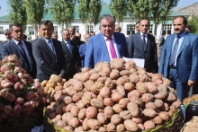 Мафтунӣ аз Сари Хосор: сафари Эмомалӣ Раҳмон ба Балҷувон