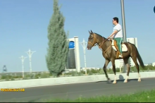Бердымухаммедов прогарцевал верхом на лошади по Ашгабаду. Новостройки осмотрел