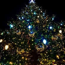 Елки в разных городах Таджикистана и мира на снимках из соцсетей