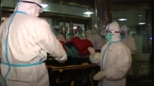 Число погибших от коронавируса выросло до 564 человек