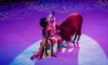 В Таджикистане застрял российский цирк. Артисты просят деньги на еду животным