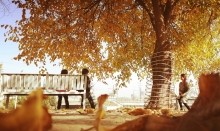 Аз тирамоҳи заррини Душанбе ҳаловат набурдед? Аз суратгузориши мо тамошо кунед