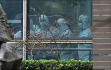 Ученые развеяли миф об утечке коронавируса из уханьской лаборатории