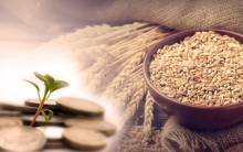 Дар моҳи Рамазон кадом садақа ҳатмист?