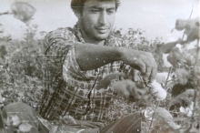 Язвы, отравления, холод и боль. Как студенты Душанбе собирали хлопок