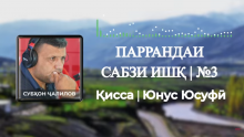“Аудиокитоб” бо Субҳон Ҷалилов. Ҳикояи “Паррандаи сабзи ишқ”-и Юнус Юсуфӣ |Қисми 3