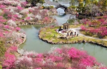 Китай весной: куда ехать, чтобы увидеть всё настоящее